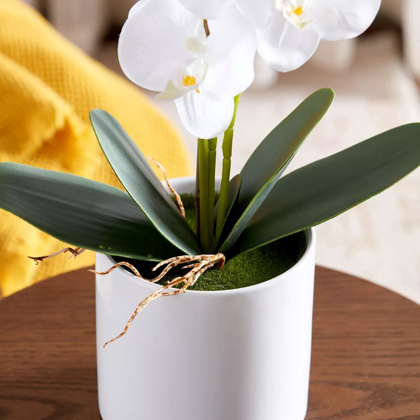 Orchid Flowers with Pot - 70 cm