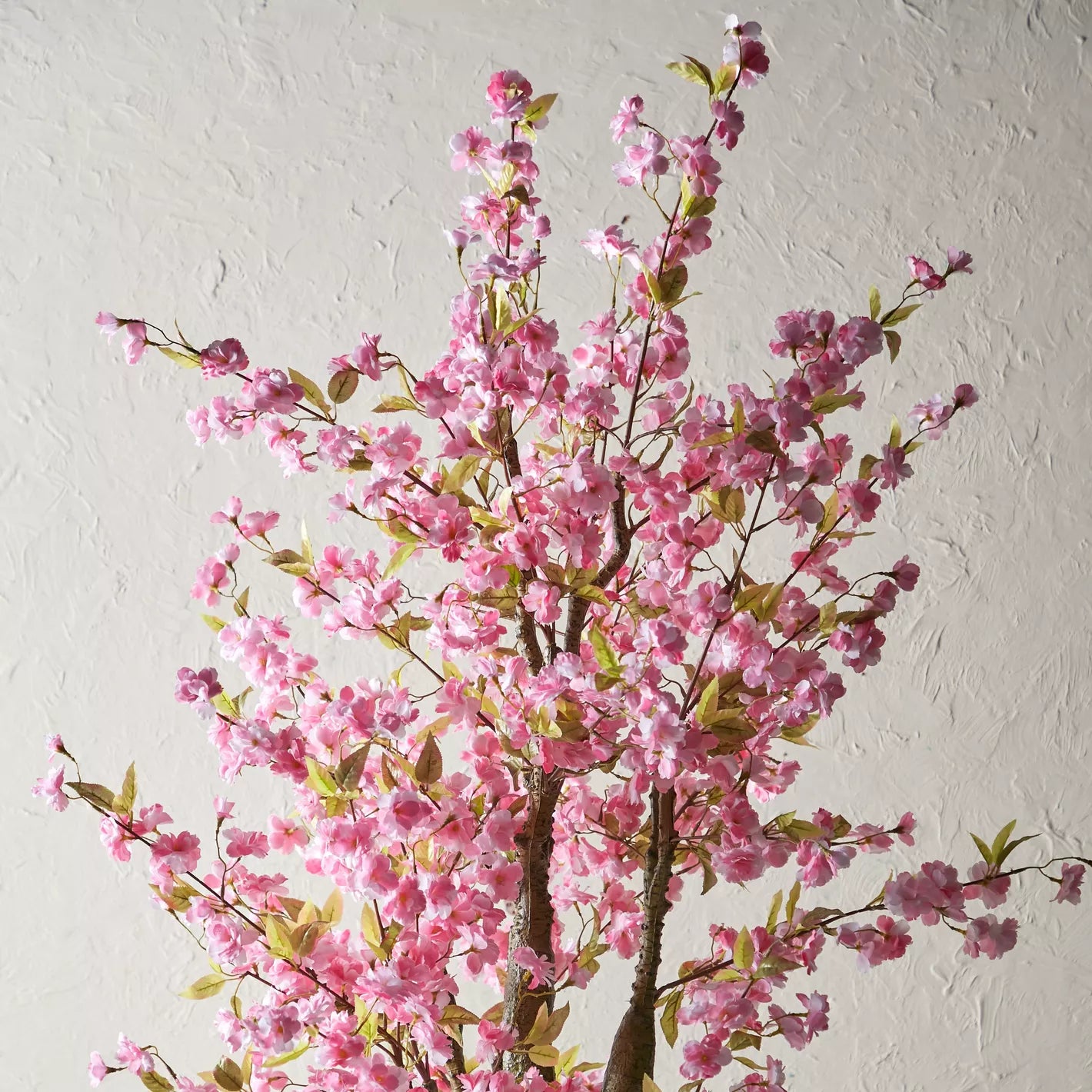 Cherry Blossom Tree - 220 cm