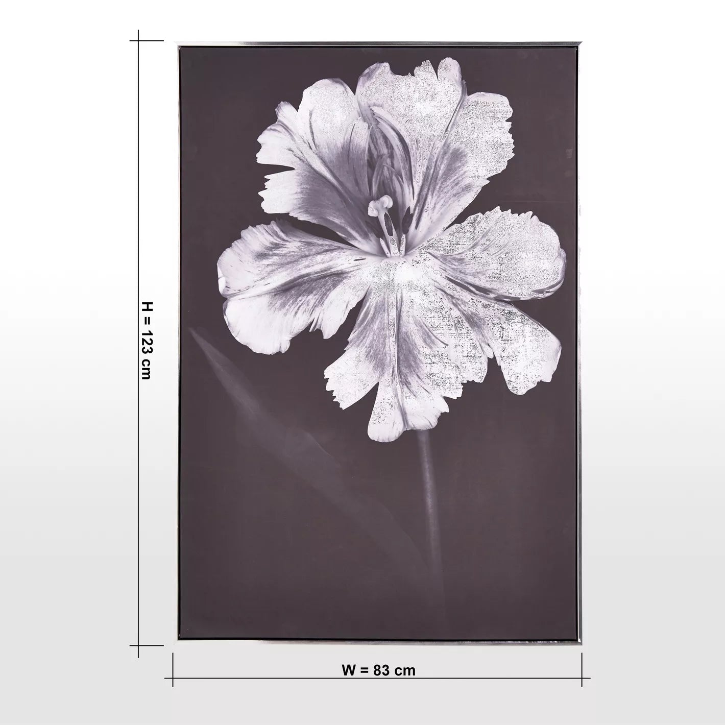 Mono Bloom Framed Canvas Wall Art - 83x123 cm